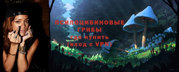 дмт Абаза