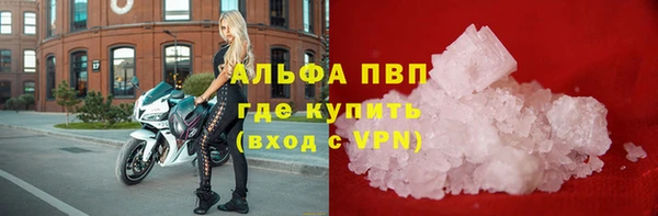 дмт Абаза