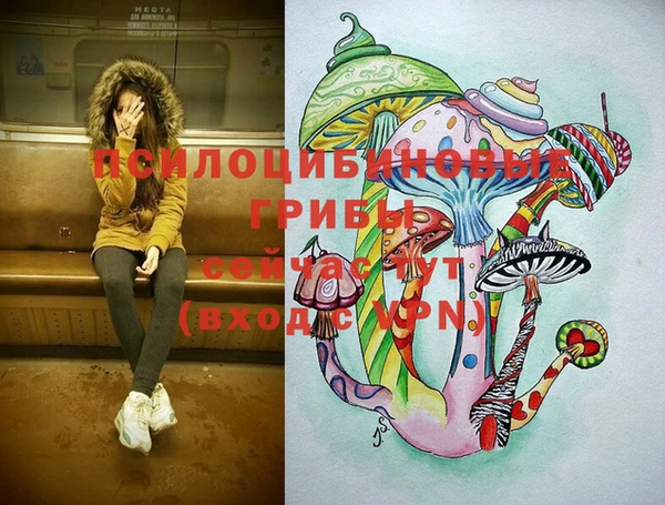 дмт Абаза