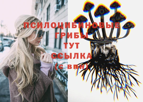 дмт Абаза