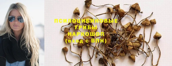 дмт Абаза