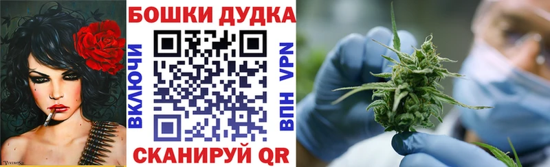 блэк спрут как войти  где купить   Морозовск  Конопля семена 